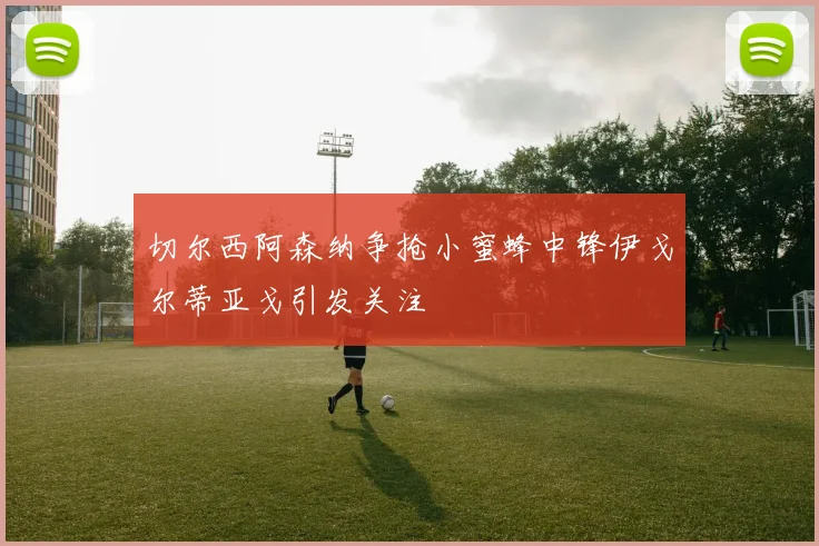 切尔西阿森纳争抢小蜜蜂中锋伊戈尔蒂亚戈引发关注