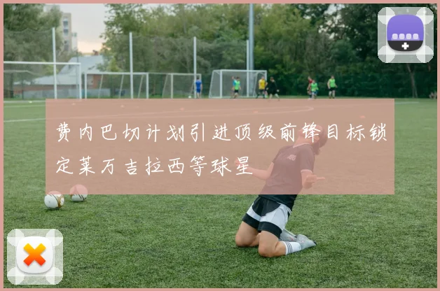 费内巴切计划引进顶级前锋目标锁定莱万吉拉西等球星